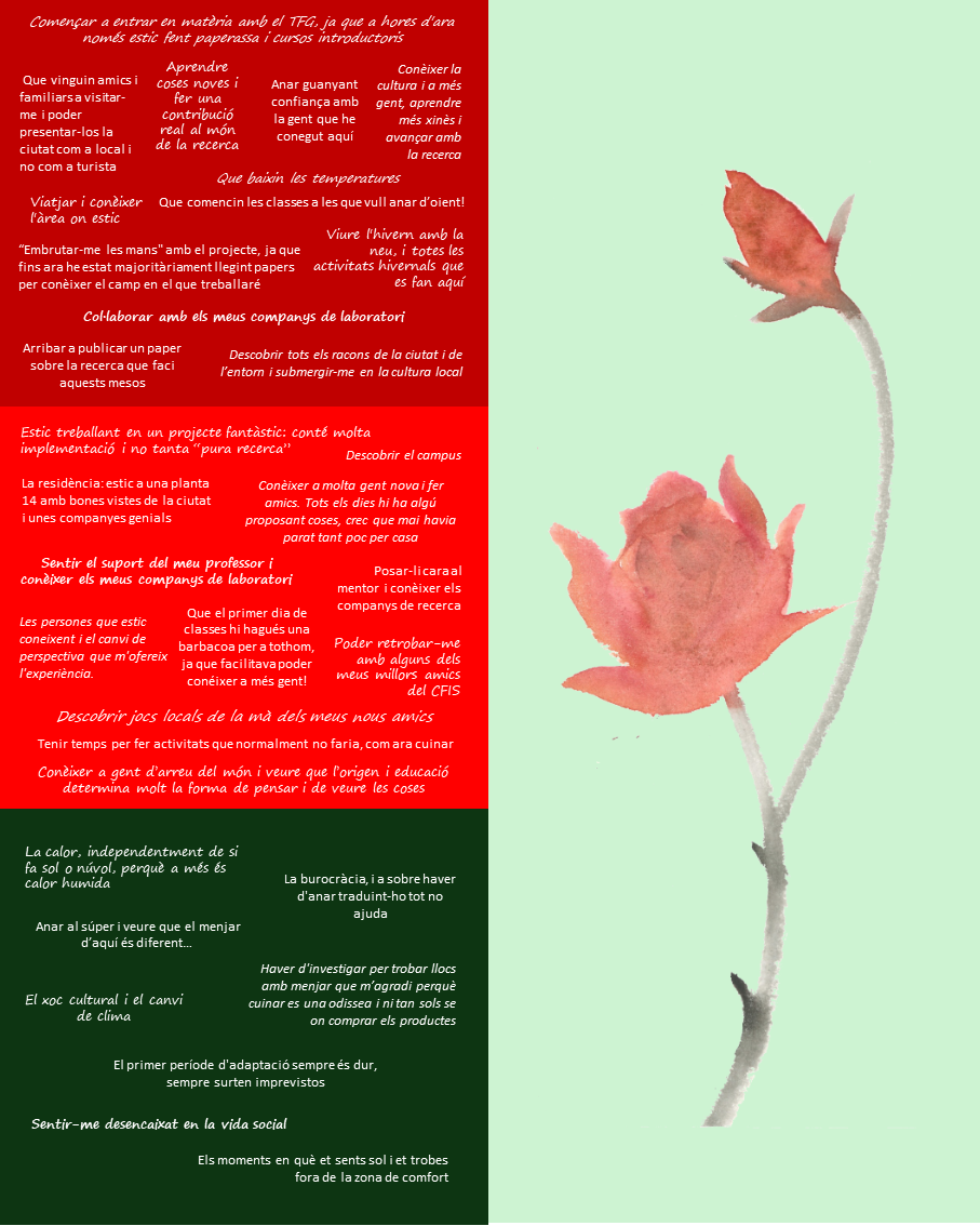 Estudiants CFIS mobilitat
